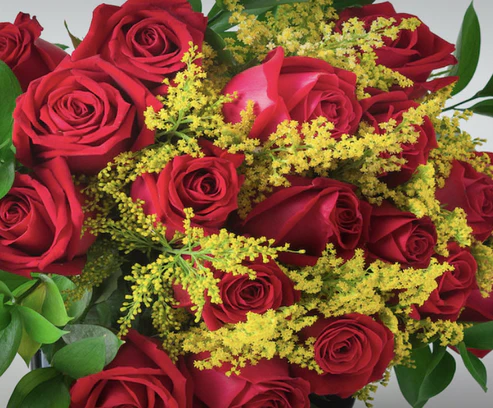 Buquê de Rosas Vermelhas 20 Unidades - Imagem 2