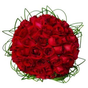 Buquê 50 Rosas Vermelhas Esplêndido