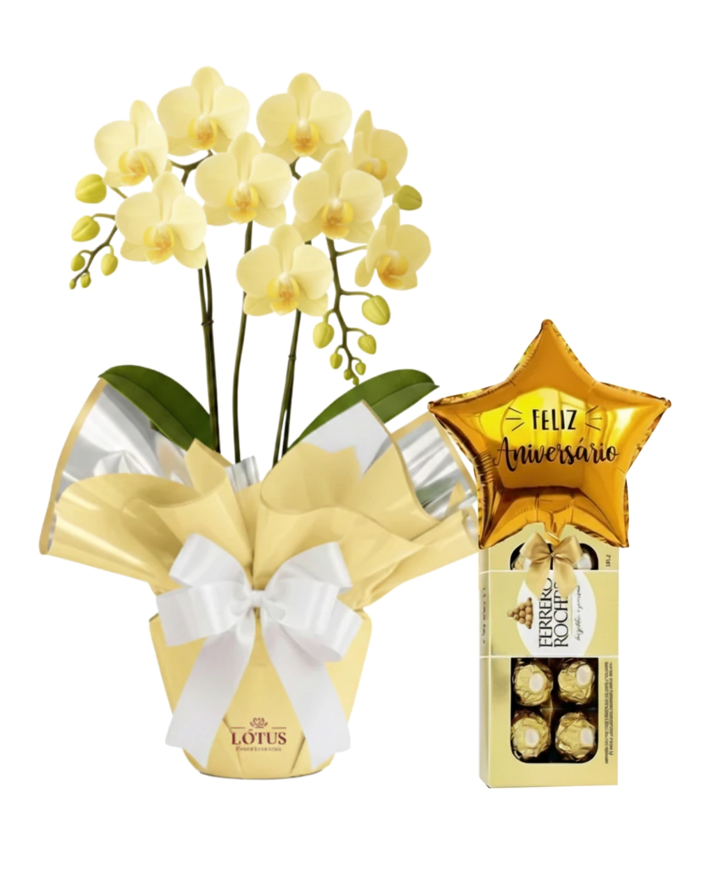 Orquídea Mimo e Balão Com Chocolate